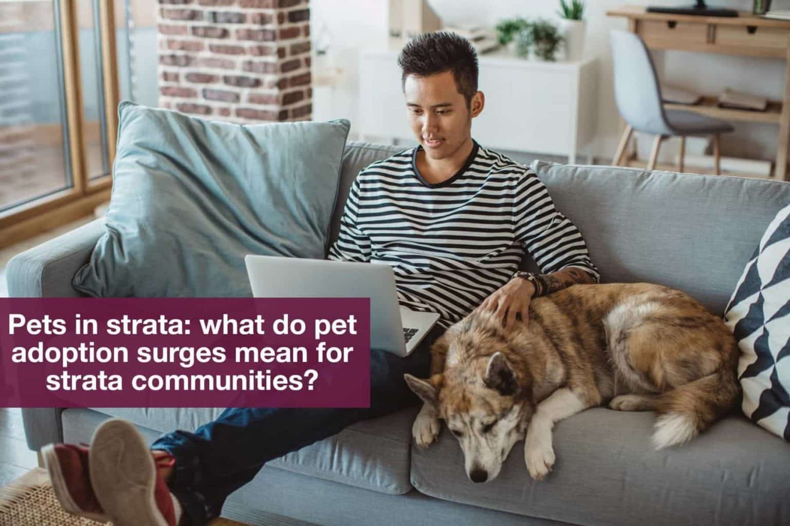 Pets in Strata