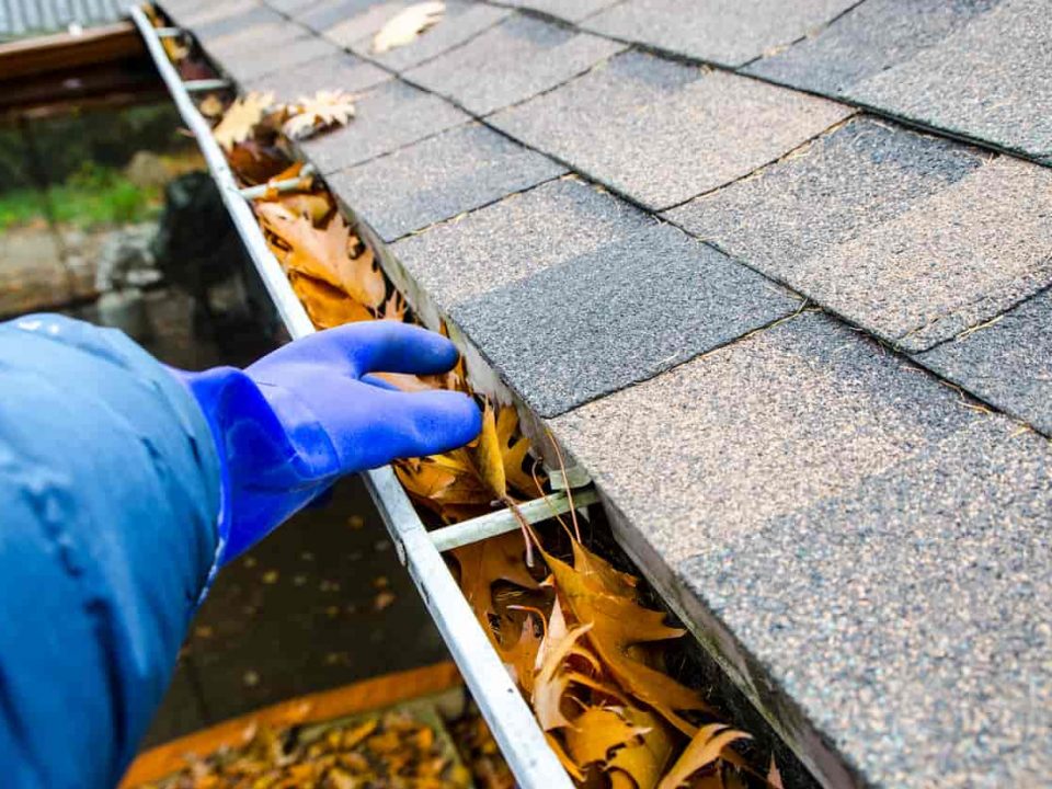 roof gutter cleaning