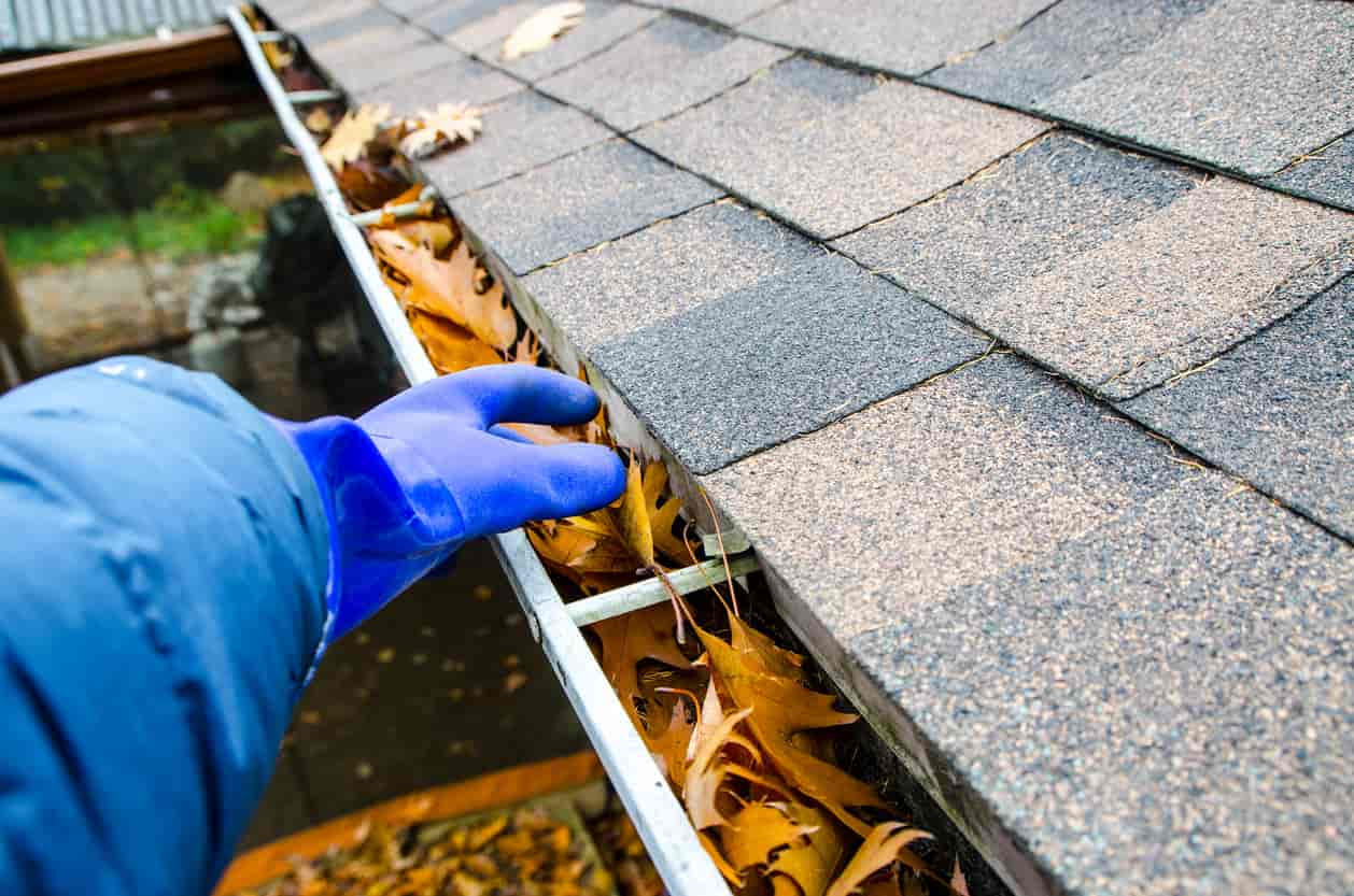 roof gutter cleaning